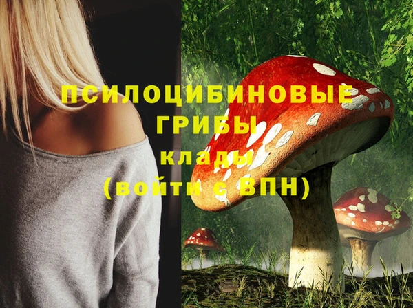 а пвп мука Беломорск
