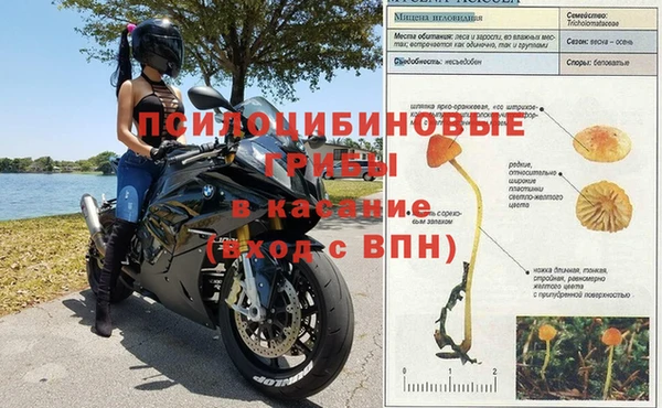героин Белокуриха