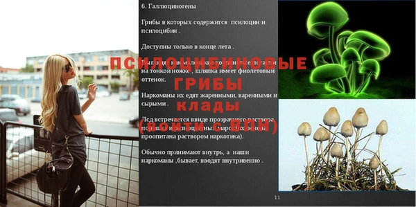 а пвп мука Беломорск