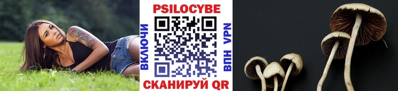 Галлюциногенные грибы Cubensis  наркошоп  KRAKEN ТОР  Жуков 